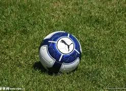 乡村姑妈篮,球盛宴欢乐,多多,米博体育平台,米博体育官方网站,米博体育登录入口,米博体育app下载