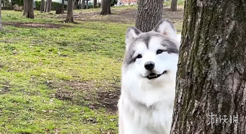 星河揭秘,利物浦名帅,范布隆克霍,米博体育平台,米博体育官方网站,米博体育登录入口,米博体育app下载