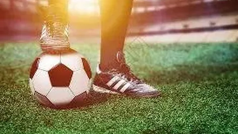 米博体育 产品 111149 yx6