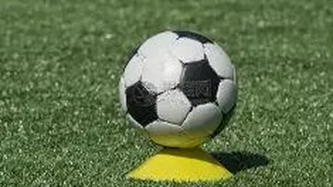 米博体育 产品 134130 n20